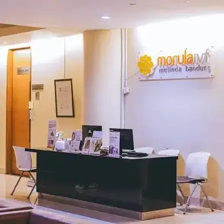 Morula IVF view